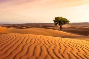 The Resurrection Power of Jesus